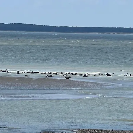 Appartement La Brise , 