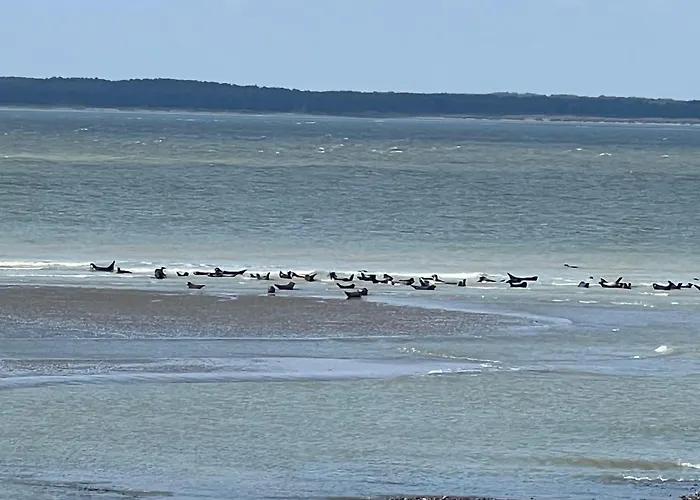 Appartement La Brise , 