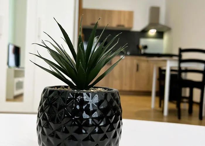 Appartement La Brise , 